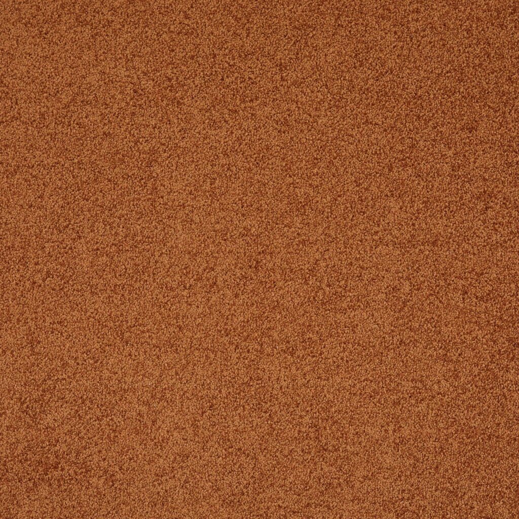 Kusový koberec Destiny 31 300 x 200 cm