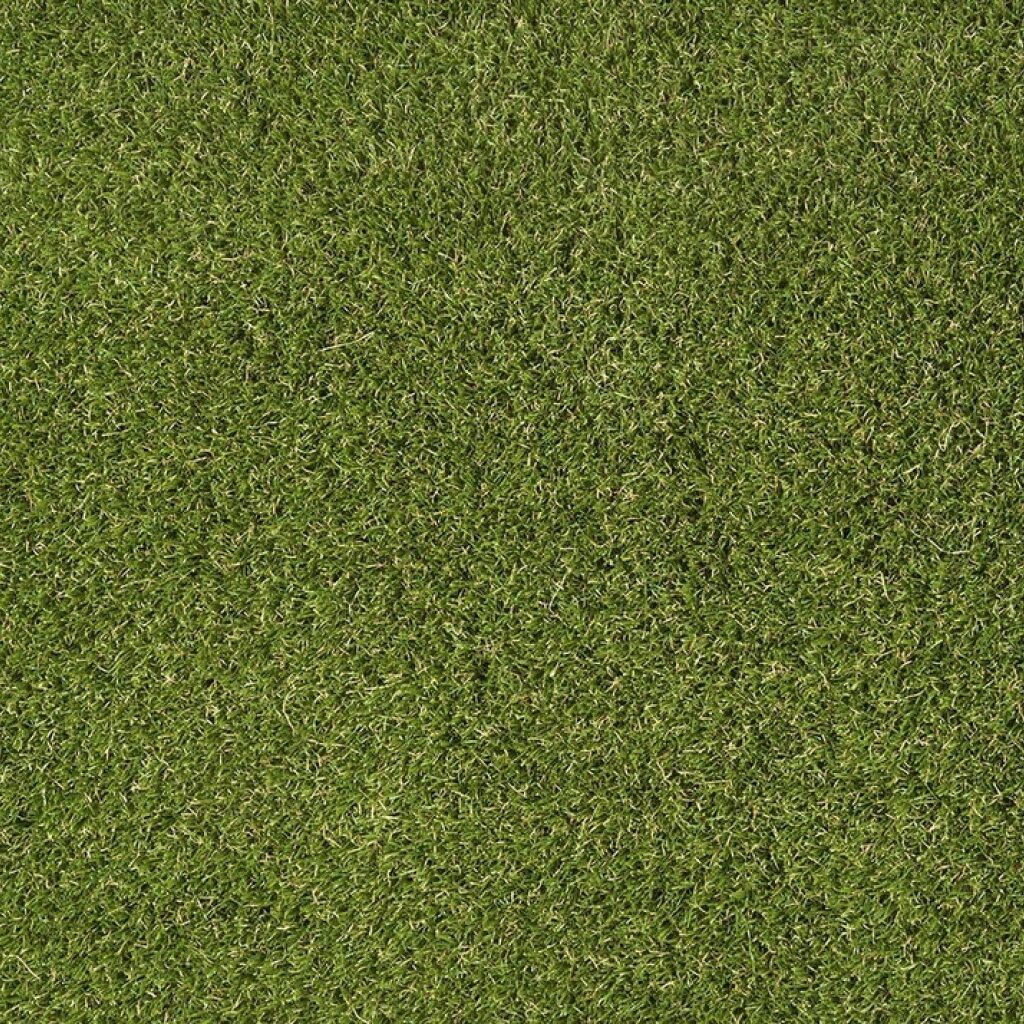 Travní koberec  EASY LAWN DAISY šíře 2 m