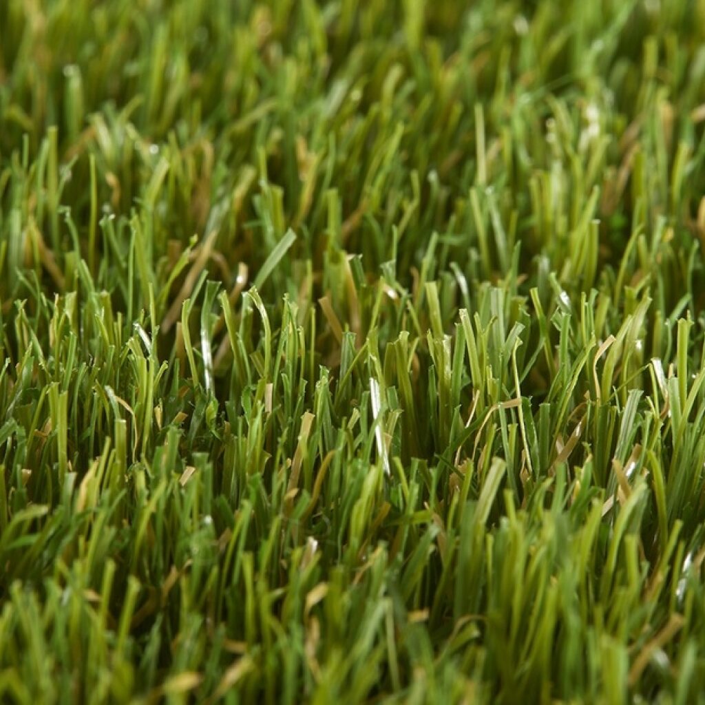 Travní koberec  EASY LAWN DAISY šíře 2 m