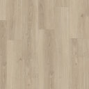 PARADOR Basic 600 Dub Studioline pure 1748187