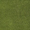 Travní koberec  EASY LAWN DAISY šíře 2 m