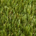 Travní koberec  EASY LAWN DAISY šíře 2 m